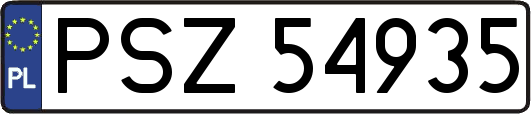 PSZ54935