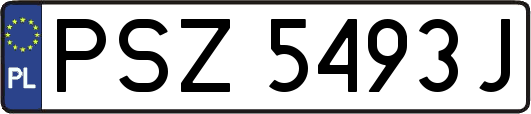 PSZ5493J