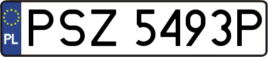 PSZ5493P