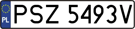 PSZ5493V