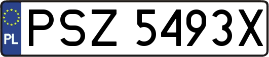 PSZ5493X
