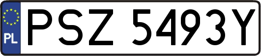 PSZ5493Y