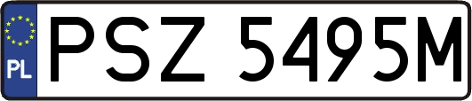 PSZ5495M
