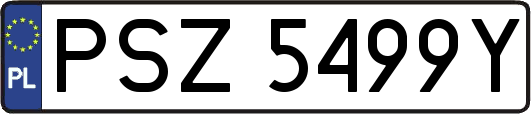 PSZ5499Y