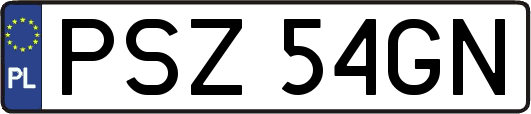 PSZ54GN