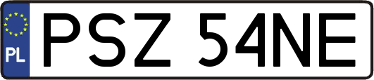 PSZ54NE