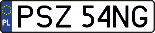 PSZ54NG