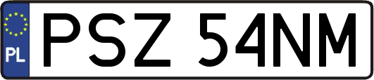 PSZ54NM
