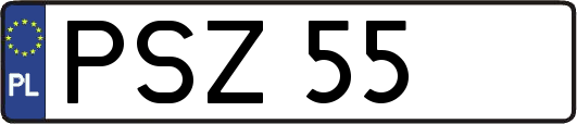 PSZ55