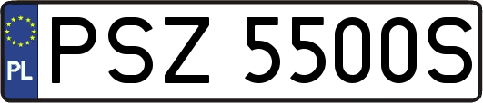 PSZ5500S
