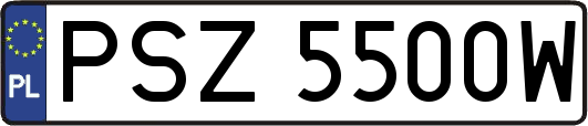 PSZ5500W
