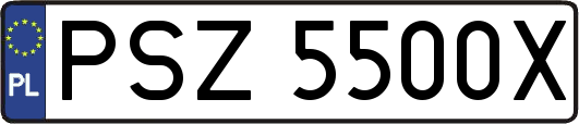 PSZ5500X