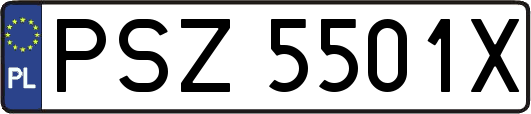 PSZ5501X