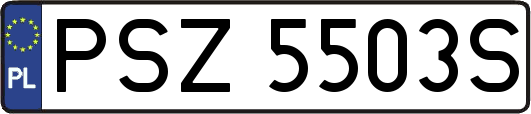 PSZ5503S
