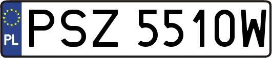 PSZ5510W