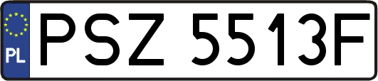PSZ5513F