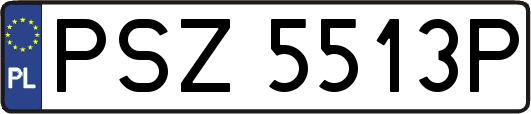 PSZ5513P