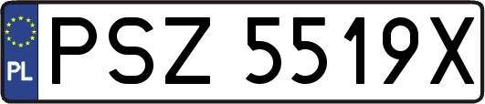 PSZ5519X