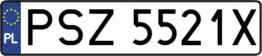PSZ5521X