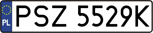PSZ5529K