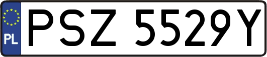 PSZ5529Y