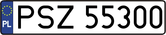 PSZ55300