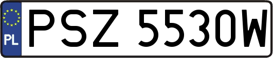PSZ5530W