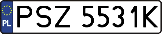 PSZ5531K