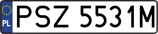 PSZ5531M
