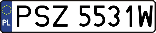 PSZ5531W