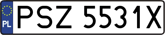 PSZ5531X