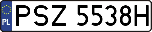 PSZ5538H
