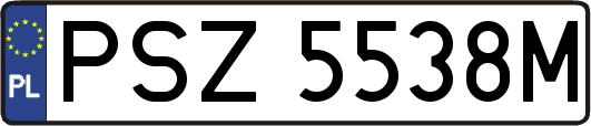 PSZ5538M