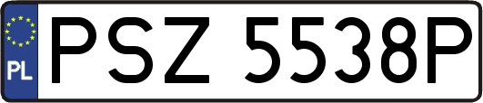 PSZ5538P