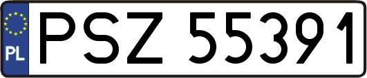 PSZ55391