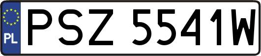 PSZ5541W