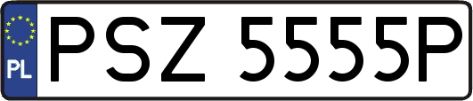 PSZ5555P
