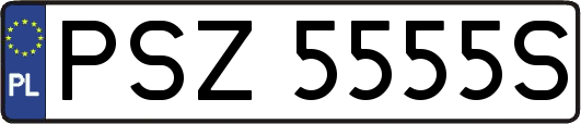 PSZ5555S