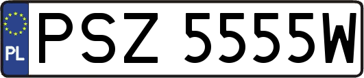 PSZ5555W