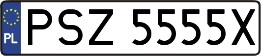 PSZ5555X