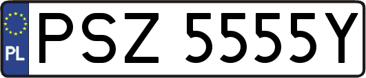 PSZ5555Y