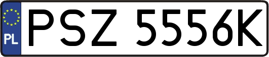 PSZ5556K