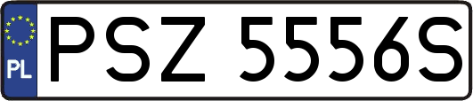PSZ5556S