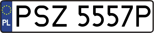 PSZ5557P