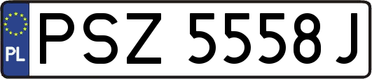 PSZ5558J
