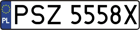 PSZ5558X