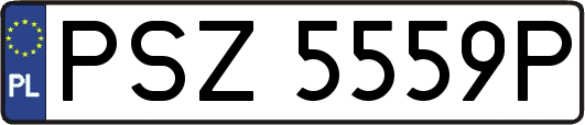 PSZ5559P