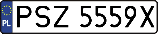 PSZ5559X