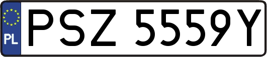 PSZ5559Y