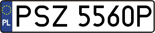 PSZ5560P